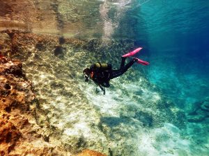 TSSF Uzman Dalıcı Eğitimi