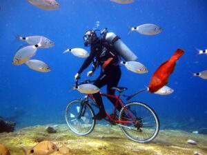 PADİ DALIŞ EĞİTİMİ