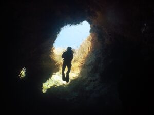 İZMİR TÜPLÜ DALIŞ EĞİTİMLERİ FİYATLARI