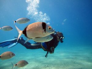 ANKARA TÜPLÜ DALIŞ EĞİTİMLERİ FİYATLARI