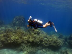 Ankara Dalış Eğitimi