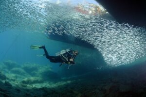Fethiye Scuba Experience