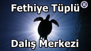 Kimler Tüplü Dalış Yapamaz